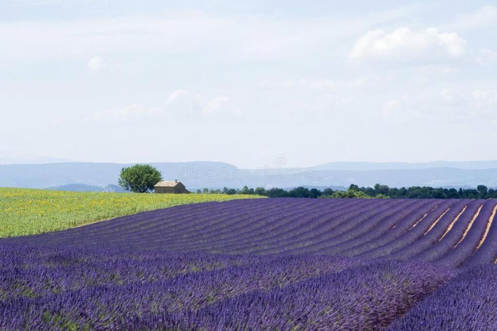 Joli Appartement Dans Village Calme En Provence Les Mées Exterior foto